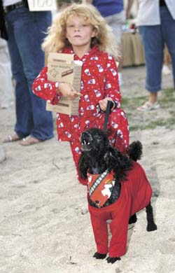 Pet Masquerade and Parade 2005 photo - Duval Street, Key West
